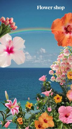 flowers are in the foreground with a rainbow in the background and an ocean view