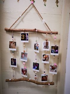 a wooden branch with pictures hanging on it