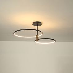 a ceiling light with two circular lights hanging from the ceiling