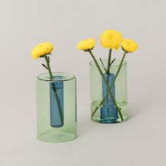 two vases with yellow flowers in them