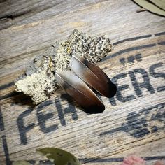 three brown feathers sitting on top of a wooden table next to a piece of wood