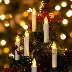 lit candles in front of a christmas tree