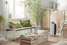 a living room filled with furniture and plants