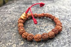 Rudraksha wrist mala with adjustable knot. Comes with 25 beads and Guru bead. Pull the knot at the end of guru bead for adjusting size. Bead size: 8mm Adjustable Bohemian Mala For Blessings, Red Bracelets With 8mm Beads For Meditation, Red Beaded Bracelets For Meditation 8mm, Red Meditation Bracelets With 8mm Beads, Spiritual Hand Knotted Bracelets With Round Beads, Spiritual Hand-strung Beaded Bracelets For Rituals, Traditional Red Bracelets For Meditation, Traditional Hand-strung Stretch Bracelet, Traditional 8mm Beads Bracelets For Meditation