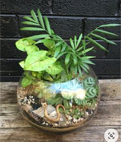 a glass bowl filled with plants and rocks