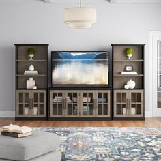 a living room scene with focus on the entertainment center