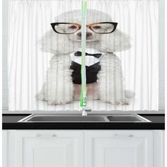 a white dog wearing glasses sitting on top of a kitchen counter