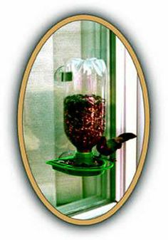 a bird feeder hanging from the side of a window sill in front of a mirror