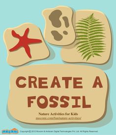 some rocks with different types of plants on them and the words, create a fossil