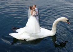 a bride and groom are kissing on the water