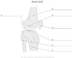 Skeletal Anatomy, Physical Therapy School, Medical Assistant Student, Foot Anatomy