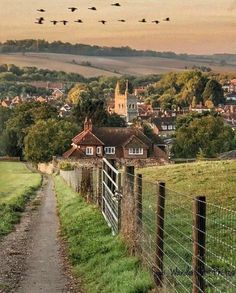 there are many birds flying in the sky over this town and fields, along with some houses