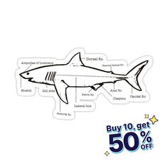 a shark sticker with the words buy 10 get 50 % off on white background