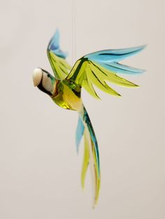 a colorful bird is flying in the air