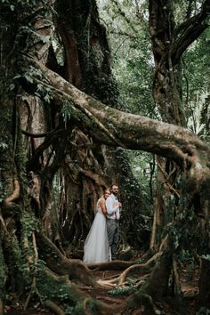 a bride and groom standing in the middle of a forest surrounded by huge tree roots