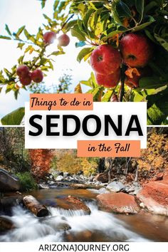 an apple tree with the words sedona in front of it and water running through it