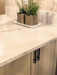 some plants are sitting in baskets on the counter top, with marble worktops behind them