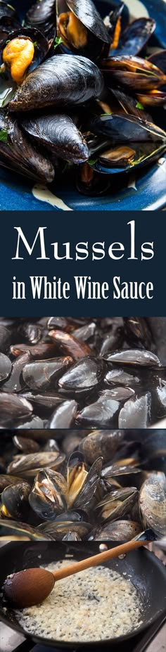 mussels in white wine sauce on a plate