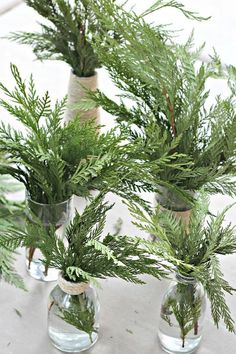 three glass vases filled with green plants on top of a white tablecloth covered floor