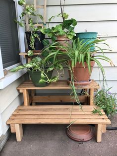 several potted plants sitting on top of a wooden bench