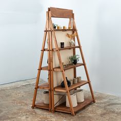 a wooden ladder shelf with pots and plants on the top, in front of a white wall