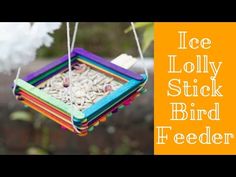 a bird feeder hanging from a tree branch with the words ice lolly stick bird feeder