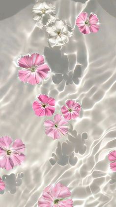 some pink and white flowers floating in water