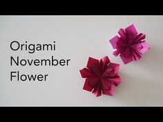 two pink origami flowers sitting on top of a white table next to the words origami november flower