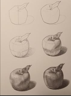 four different types of apples are shown in this drawing