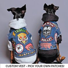 two small dogs wearing jackets with patches and skulls on them, sitting next to each other