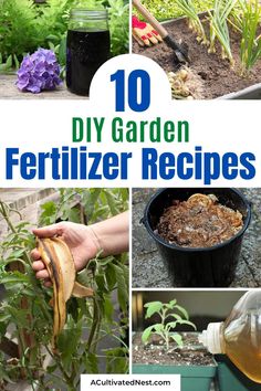 10 diy garden fertilizer recipes that are easy to make and great for beginner gardeners