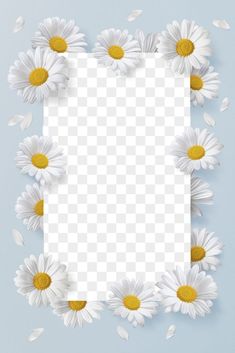 white daisies with yellow centers are arranged in a square frame on a blue background