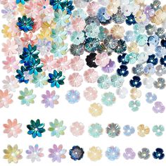 many different colored and shaped flowers on a white background