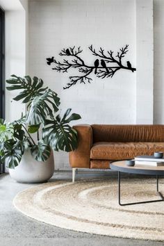 a living room filled with furniture and a plant