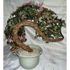 a bonsai tree with pink flowers and green leaves in a pot on a white background