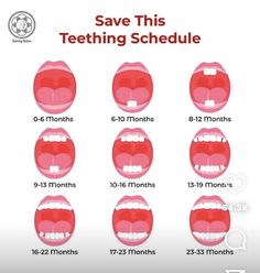 the mouth chart shows how many teeth are different