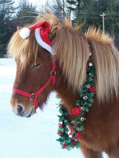 a small horse wearing a santa hat and christmas garland on it's head in the snow