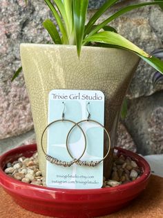 a pair of earrings sitting on top of a potted plant