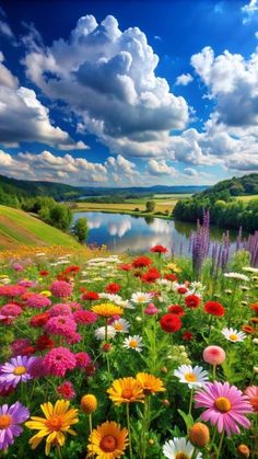 colorful wildflowers are blooming on the bank of a river