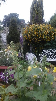 a white bench sitting in the middle of a garden filled with yellow and purple flowers