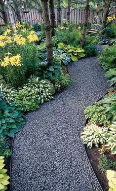 a garden filled with lots of different types of plants and flowers on top of gravel