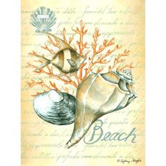 Under The Sea II Poster Print - Sydney Wright-VARPDX76346D Image 1 The Beach Drawing, Beach Drawing, Outdoor Canvas, Tapestry Wall Art, Coastal Prints, Vintage Canvas, Art Themes, Beach Art, Sea Shell