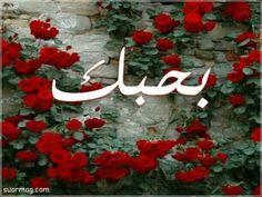 the word in arabic is surrounded by red roses and ivys on a stone wall