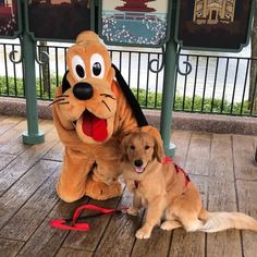 a dog standing next to a large stuffed animal