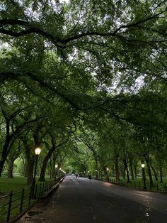 a street lined with lots of trees next to a park filled with green grass and lights