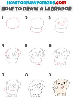 how to draw a cartoon dog for kids with step by step instructions on how to draw a