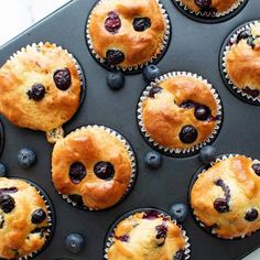 blueberry protein muffins in a muffin tin