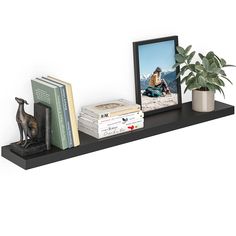 a shelf with books and a plant on it next to a framed photo, bookend