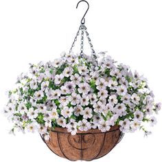 a hanging basket filled with white flowers