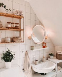 a bathroom with a sink, mirror and shelves filled with plants on the counter top